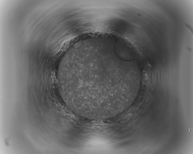 X0000102510918200808291730
