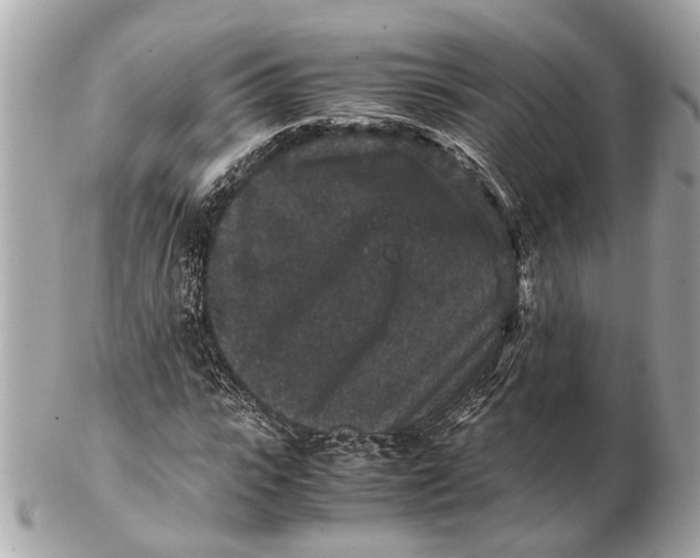X0000102510919200808291730