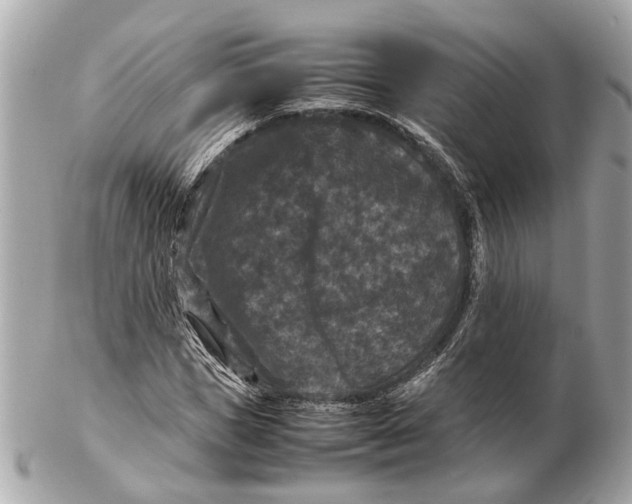 X0000102510921200808291730