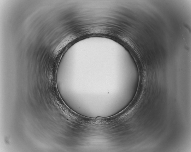X0000102510922200808291731