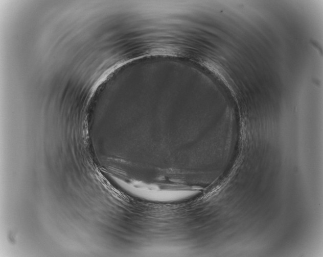 X0000102510923200808291731