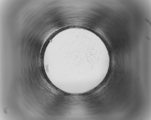 X0000102510924200808291731