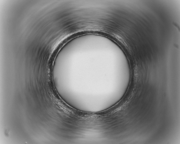X0000102510926200808291731