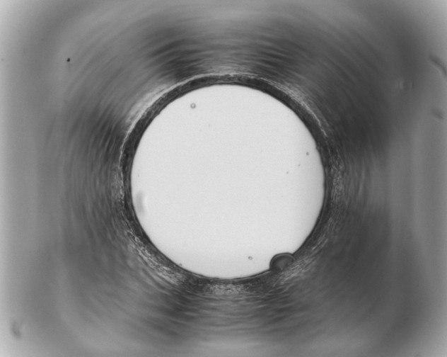 X0000102510927200808291731