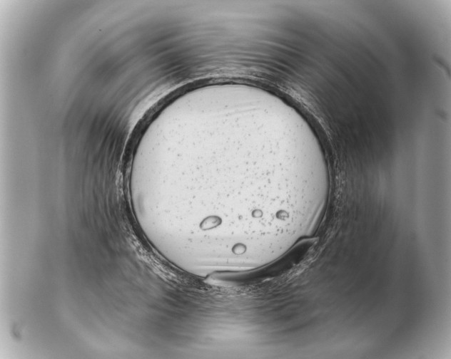X0000102510928200808291731