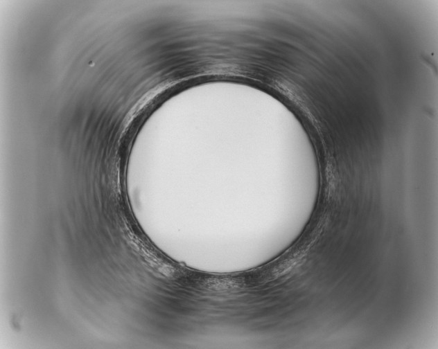 X0000102510931200808291731