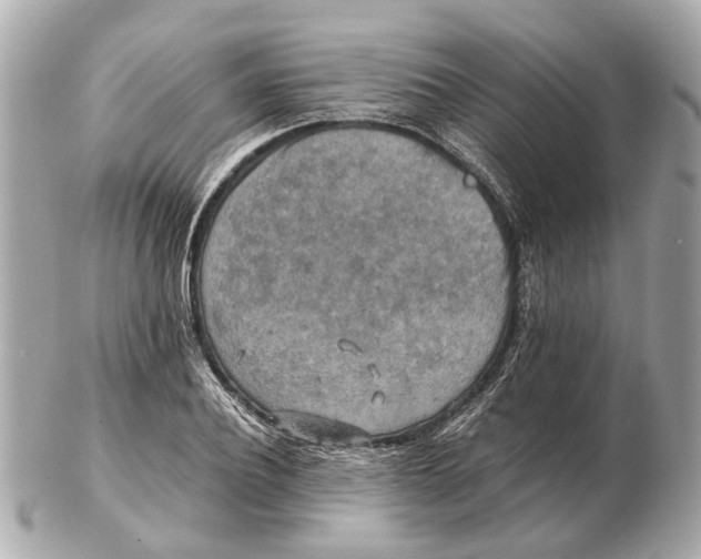 X0000102510932200808291731