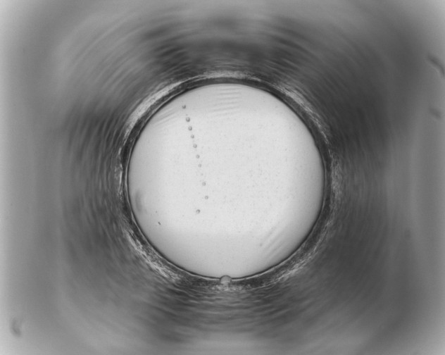 X0000102510933200808291731