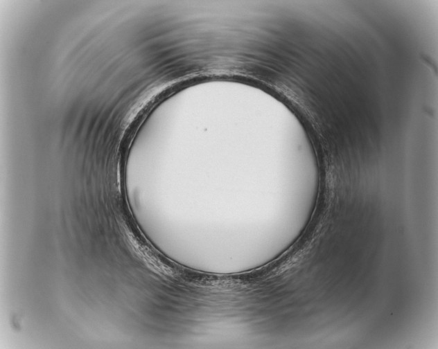 X0000102510934200808291731