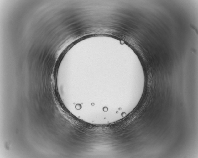 X0000102510936200808291731