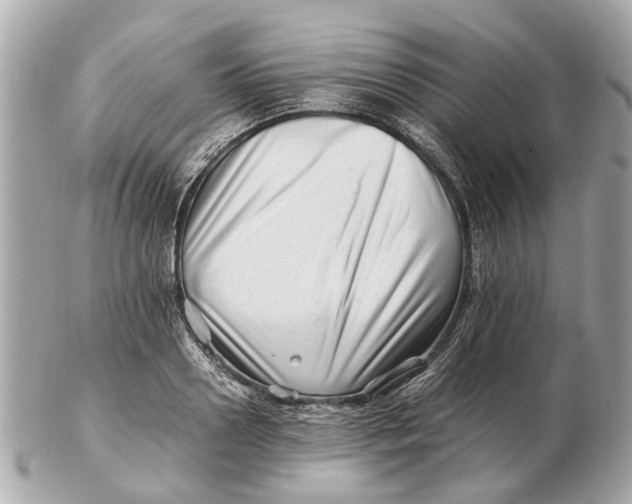 X0000102510938200808291731