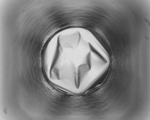 X0000102510939200808291731