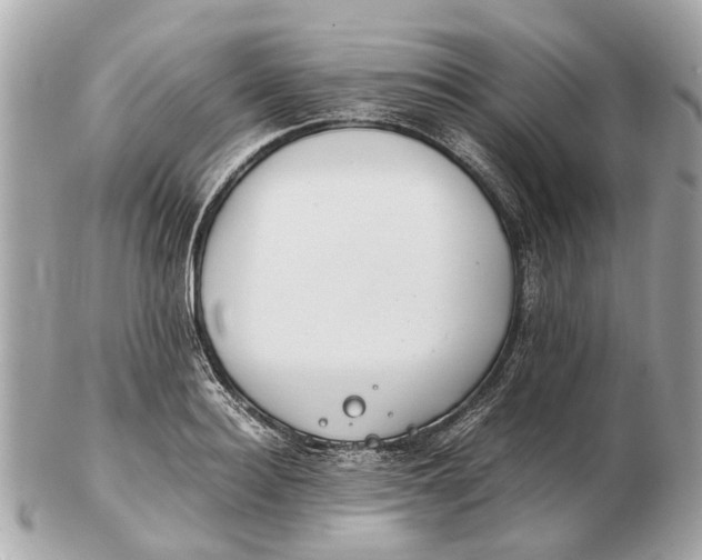 X0000102510940200808291731