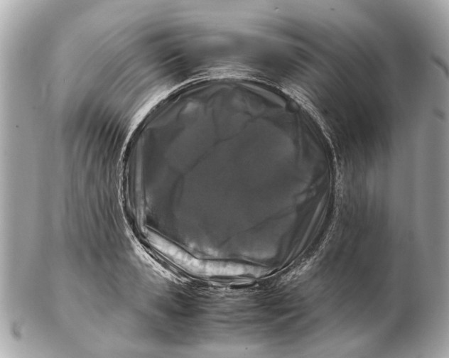X0000102510941200808291731