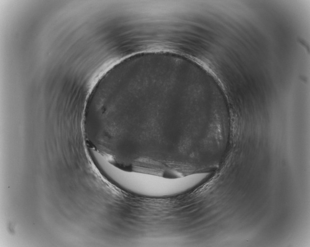 X0000102510943200808291731
