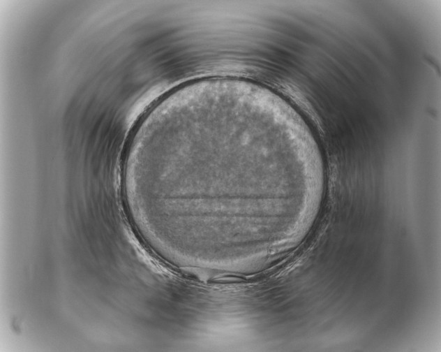 X0000102510944200808291731