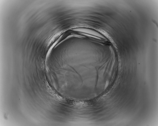 X0000102510945200808291731