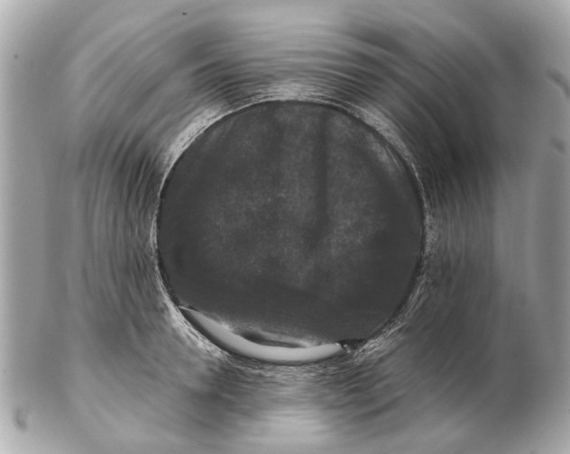 X0000102510946200808291731
