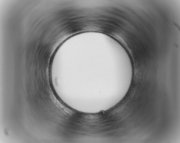 X0000102510947200808291731