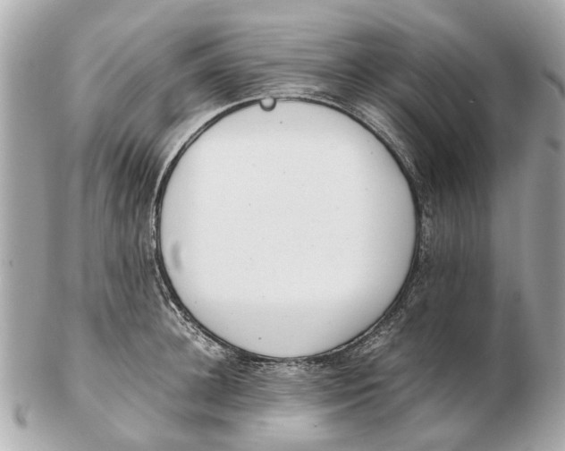 X0000102510948200808291731