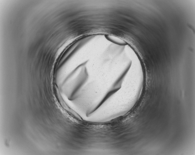 X0000102510949200808291731