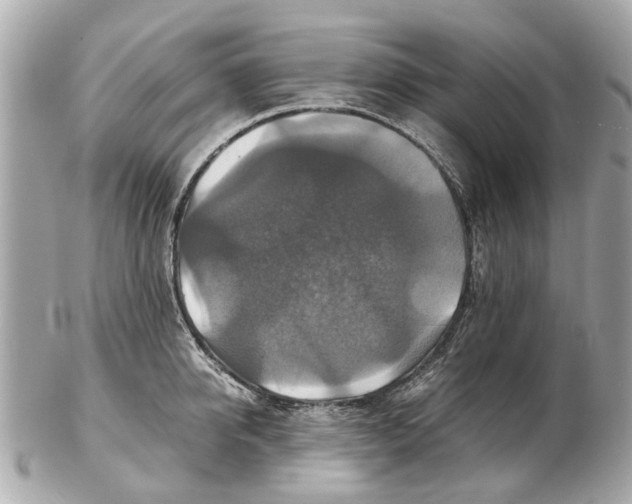 X0000102510950200808291731