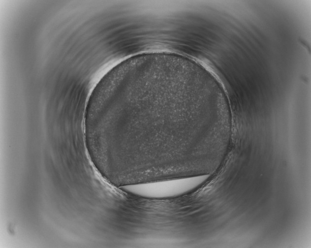 X0000102510951200808291731