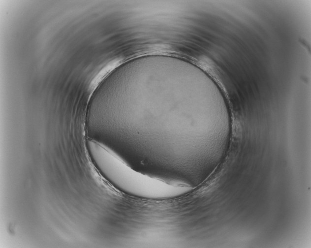 X0000102510954200808291731
