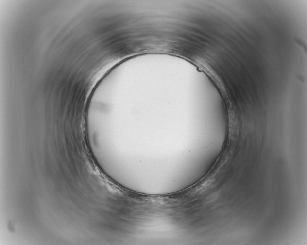 X0000102510956200808291731