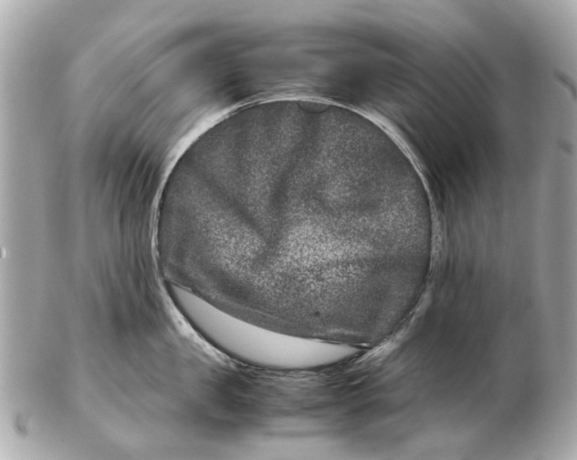 X0000102510957200808291731