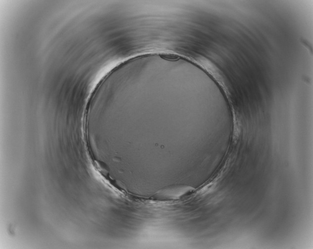 X0000102510958200808291731