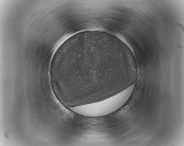 X0000102510959200808291731