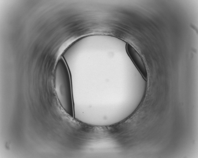 X0000102510960200808291731