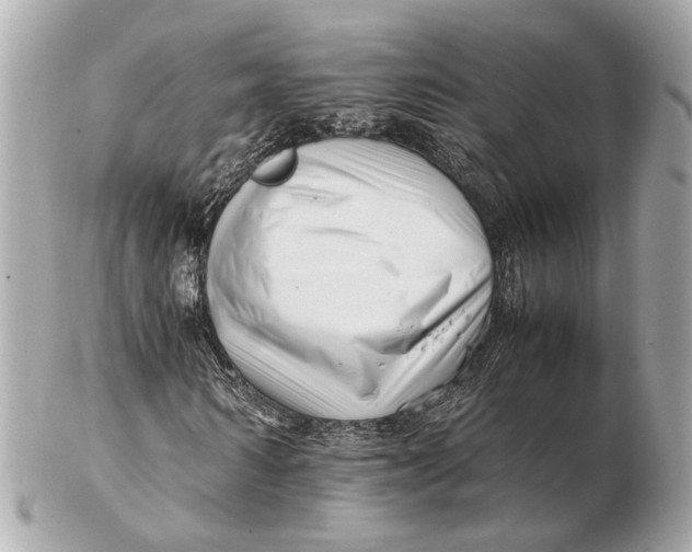 X0000102510962200808291730