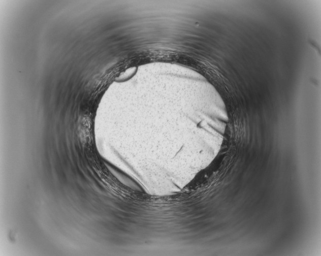 X0000102510964200808291730