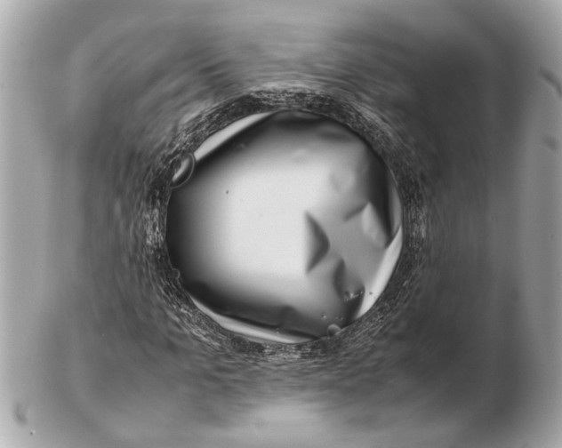 X0000102510965200808291730