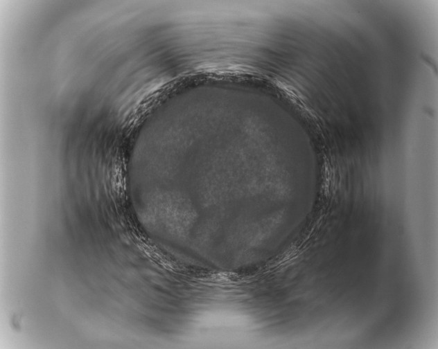 X0000102510966200808291730