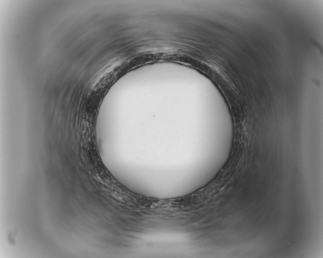 X0000102510967200808291730