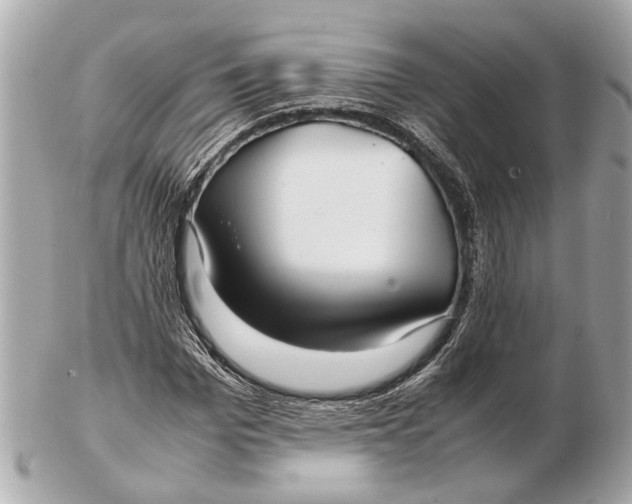 X0000102510969200808291730