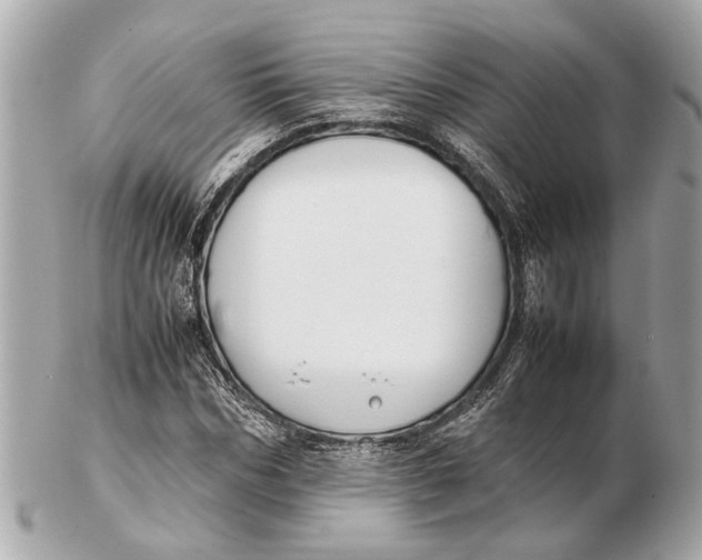 X0000102510970200808291730