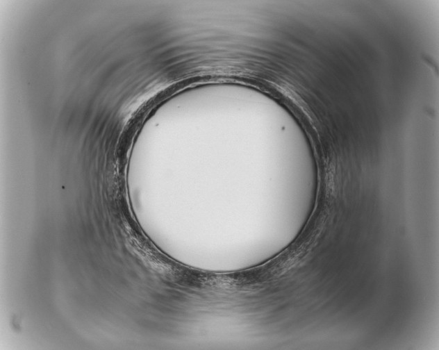 X0000102510971200808291730