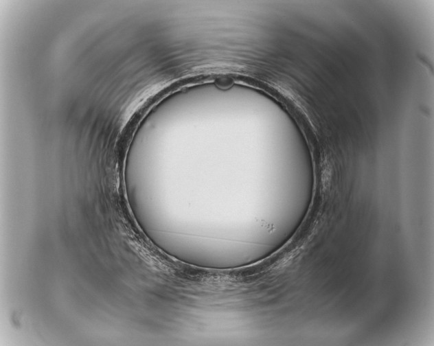 X0000102510973200808291730