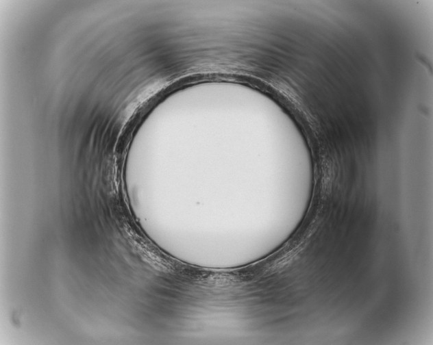 X0000102510974200808291730