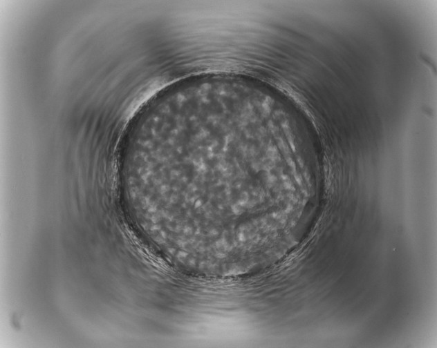 X0000102510975200808291730