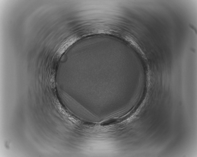 X0000102510977200808291730