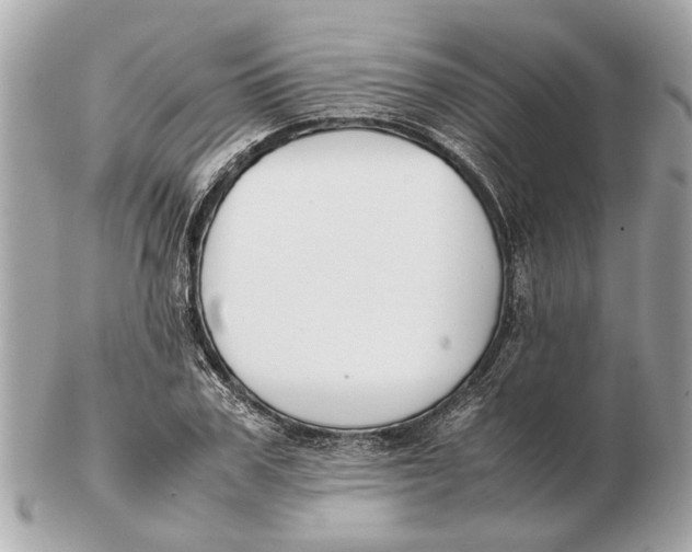 X0000102510979200808291730