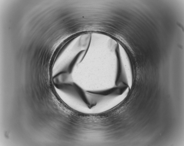 X0000102510980200808291730