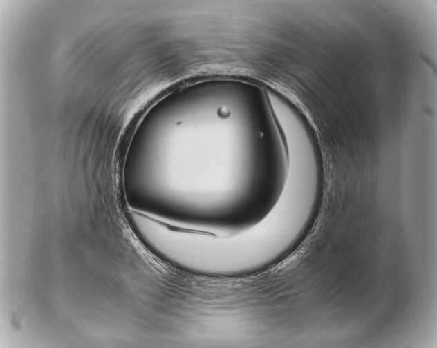 X0000102510981200808291730