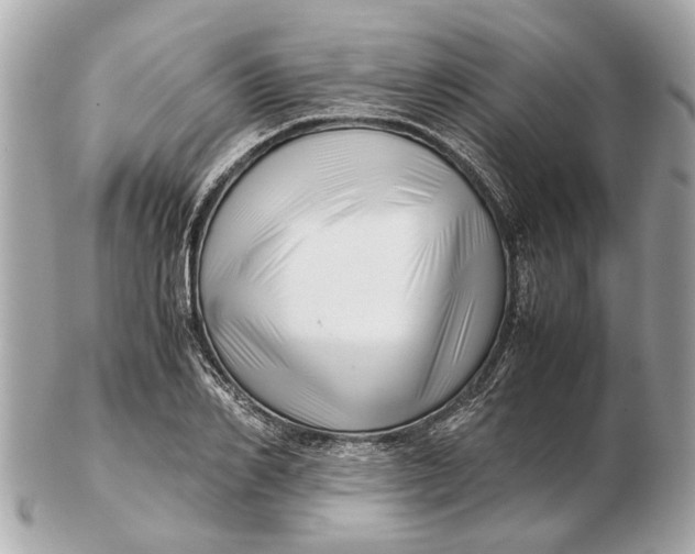 X0000102510982200808291730