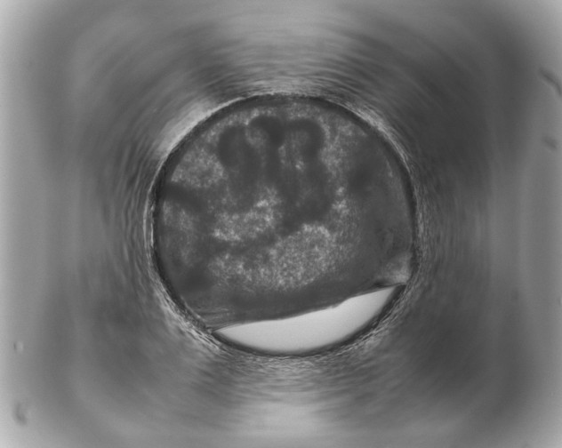 X0000102510983200808291730